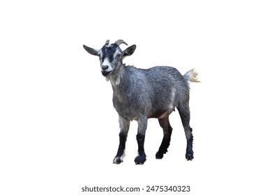 r5cu7